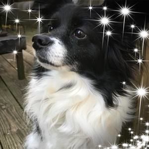 Meet your Posher, Beverly